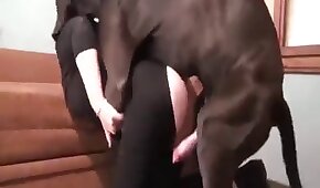 fmbet55.com - sexo de cachorro,sexo foda animal